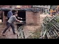Can This Machine Destroy an Entire Bamboo Pile? Heavy Duty Crusher
