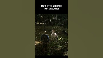 RDR2 – How To Get The Rare Andalusian Horse & Exact Location | Ultimate Horse Guide 4K