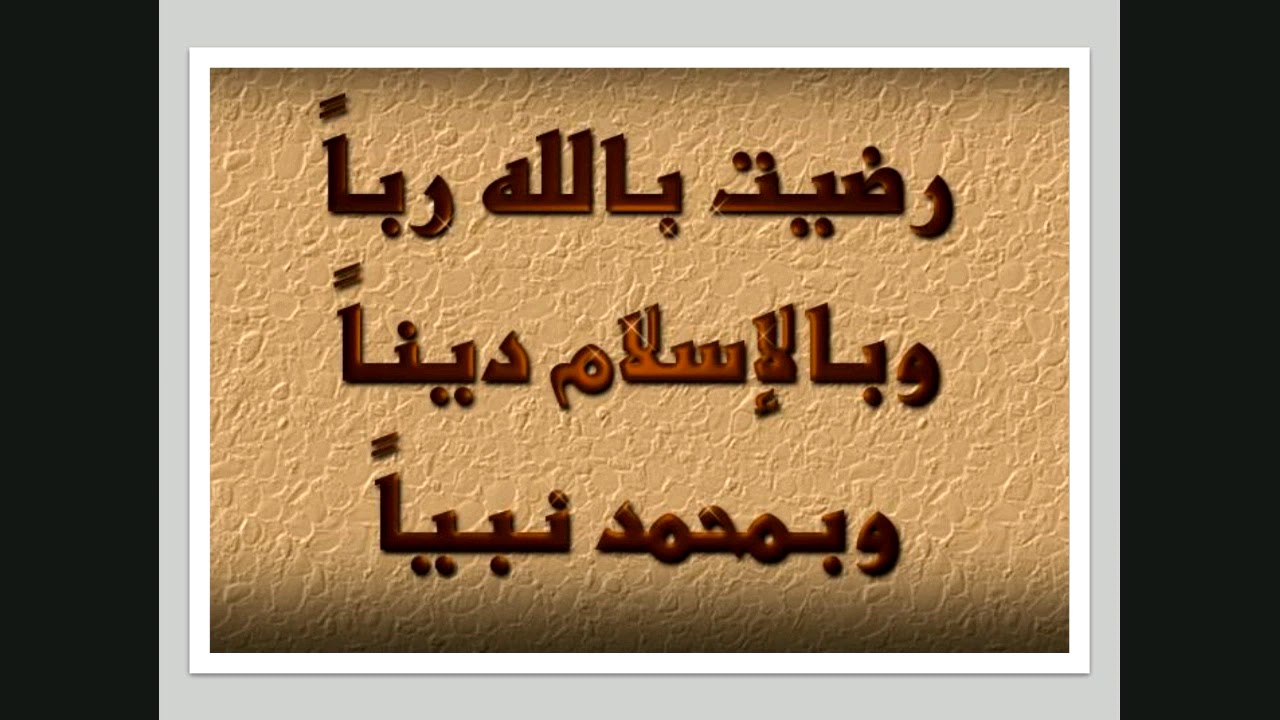 Vermiform appendix (Digestive 17)