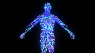 Houdini - Shortest Path RnD (scene file March 24)