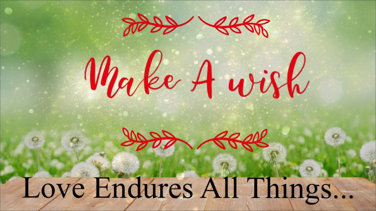 Twin Flame & Soulmate  Tarot Card Reading: True Love Is Near