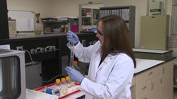 FAPC Analytical Services - Viscosity Sequence