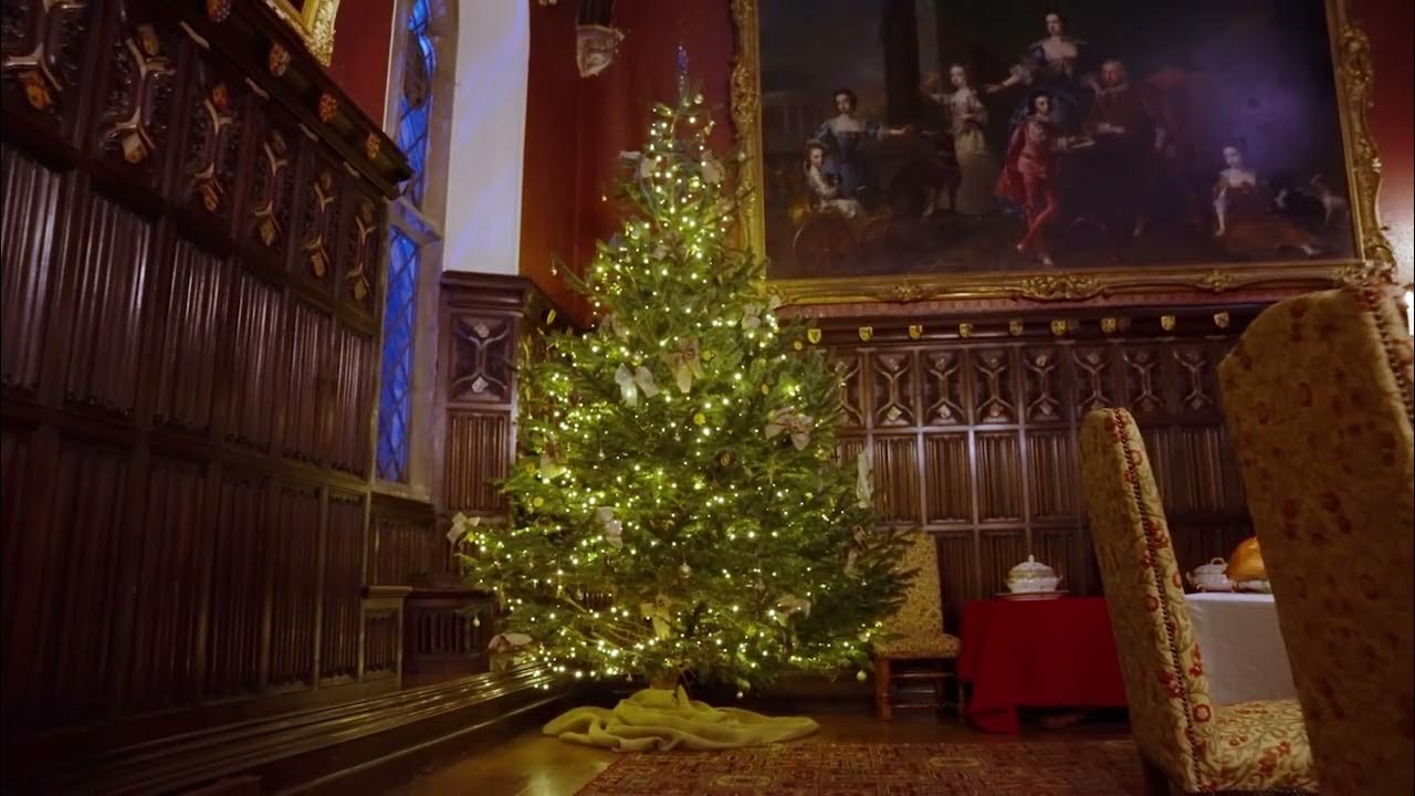 Powderham Castle Christmas Lights 2022 YouTube