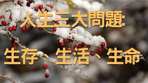 人生三大问题: 生存、生活、生命 - 天天要闻