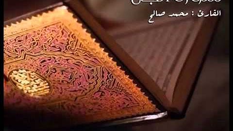 القارئ محمد صالح اليمني  سورة الجن جديد