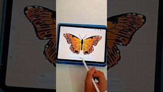 Butterfly Animation Procreate Tutorial #procreate #animation #tutorial #trending