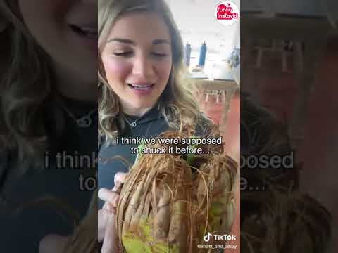 Matt And Abby Funny TikTok Videos Compilation  Matt And Abby Funny Videos 2021