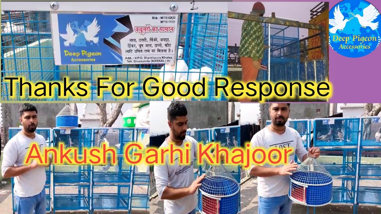 Kabooter ke Pinjre Jaal Available Know Deep Pigeon Accessories 🕊️ Thanks For Ankush Garhi Khajoor ❤️