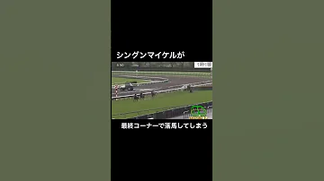 シングンマイケルが最終障害で落馬してしまう Horseracing 競馬 