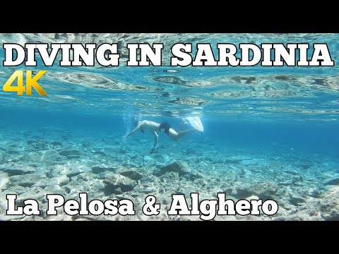 SNORKELING & SCUBA DIVING IN SARDINIA ITALY ALGHERO LA PELOSA STINTINO 4K GOPRO