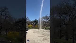 Celebrity Randomly Tornado Spawns Net Worth