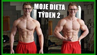 AKTUÁLNÍ FORMA, JÍDELNÍČEK A PROBLÉMY | ALEŠ V DIETĚ 1 AKTUÁLNÍ FORMA, JÍDELNÍČEK A PROBLÉMY | ALEŠ V DIETĚ 1