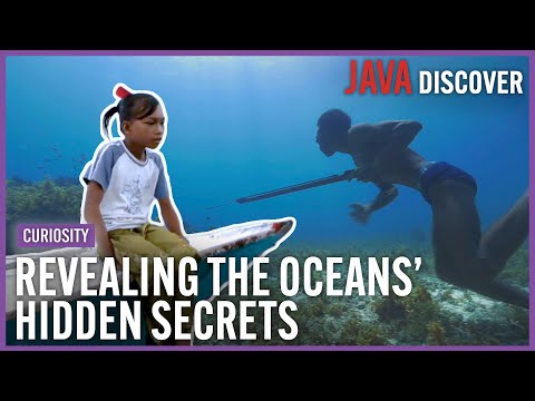The Astonishing Secrets of the Ocean