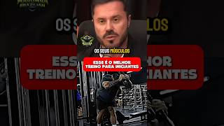 A melhor divisão para iniciantes! 🔥#treino #academia #hipertrofia #musculação