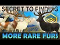The SECRET to Finding WAY MORE RARES!!! - Call of the Wild