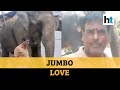 Bihar man willed his property worth 5 crore to his elephants