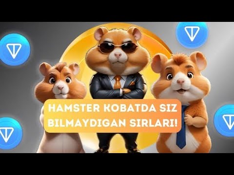 HAMSTER KOMBAT TANGANI