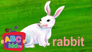 Learn the ABCs:"R" is for rabbit and rainbow | ABC Kid TV Nursery Rhymes & Kids Songs