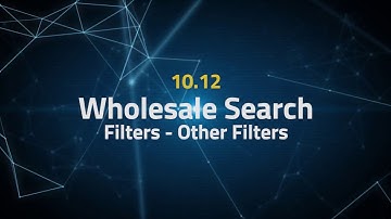 Tactical Arbitrage Instructions 10.12 - Wholesale Search - Filters - Other Filters