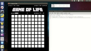 Game of Life: NEA Project Testing