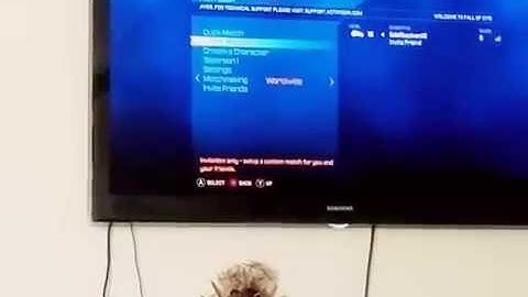 Transformers fall of cybertron launch glitch