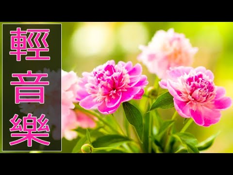 【非常好听】🎷🎷週末聽50首最好的老音樂 🌺早上最適合聽的輕音樂 🎵 每天調心洗滌心性 - 薩克斯風 - 無廣告音樂 - 轻音乐 - 探戈老歌 Old Taiwanese Music