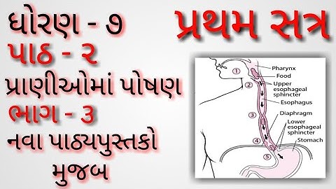 Ch - 2| Pranioma Poshan | Part - 3 | STD - 7 | Sem - 1| Gujarati Medium | NCERT/GSEB