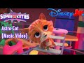 SuperKitties - Astro-Cat Song (Music Video)