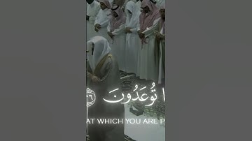 سورة المؤمنون بصوت الشيخ ياسر الدوسري #اكسبلور #فولو #متابعه