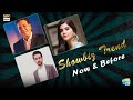 Watch Aaj Kal Ke Showbiz Main Kya Trend Chal Raha Hai - Difference Of Two Eras Online In Hd