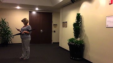 Zhiyun Z1 Smooth C Test