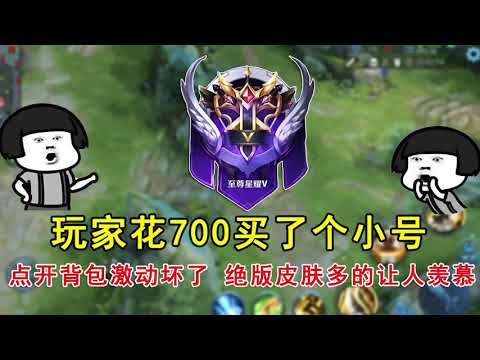 王者荣耀：玩家花700买了个小号，点开背包激动坏了，绝版皮肤多的让人羡慕