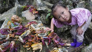 Teach children Survival Skills: Search for food when lost, How to catch Crabs and Cook | Hoang Huong