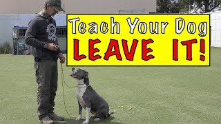 Teach Your Dog LEAVE IT - YUK Command - Leave it Command - Protect Your DOG!