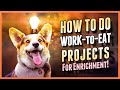 Practical Dog Owner's Guide to Work-to-Eat Projects for Mental and Emotional Health Boost