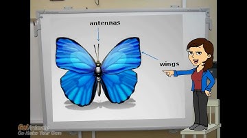 Nonfiction Text Features