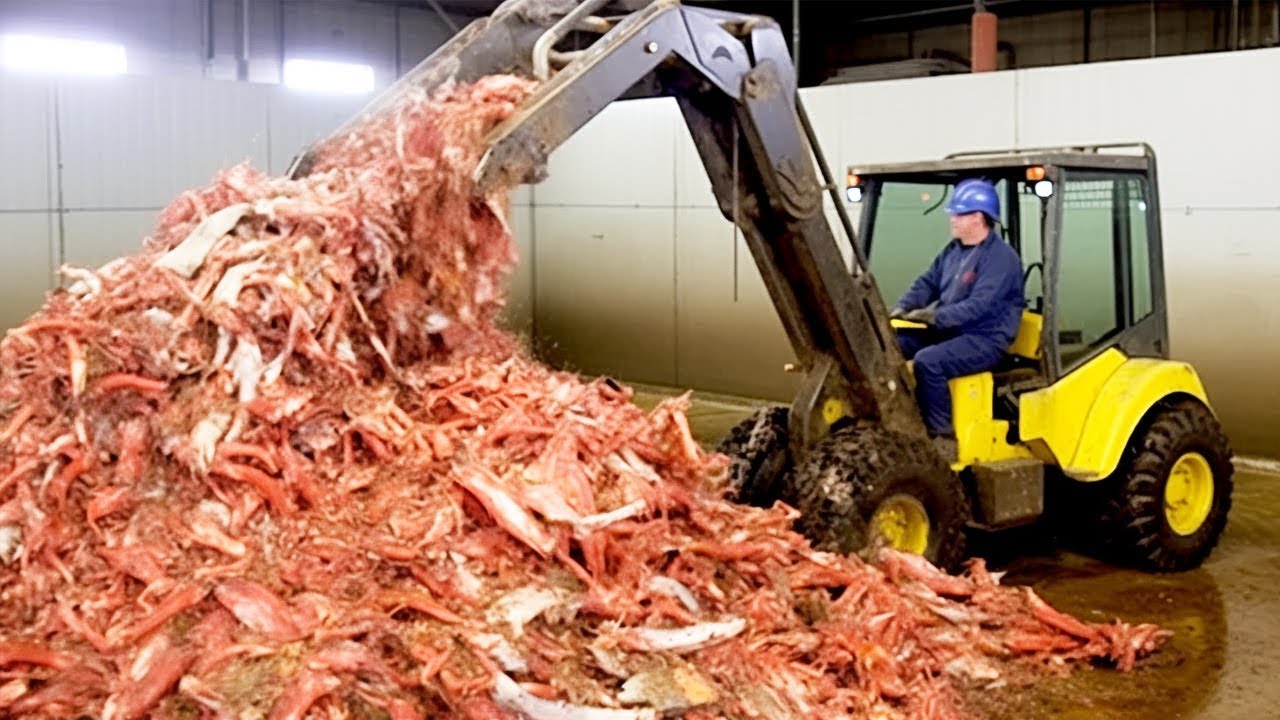 7 Comidas Feitas de Forma Nojenta Que Você Ama