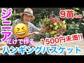 【ジニア9苗で作るハンギングバスケット🌼】1500円未満!!️/ 春から初冬まで咲き続けるからコスパ最強です🤗/ スリットバスケットの配置も超シンプル/ 初心者さん向け【ガーデニング】