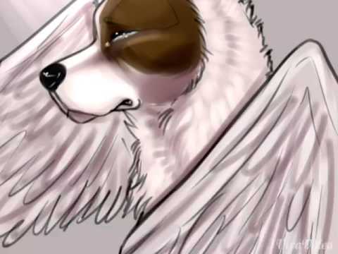 Ангел собака рисунок