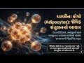 “તમારા શરીરના ફેટ સેલ્સ તમને બચાવે છે કે નુકસાન કરે છે?”