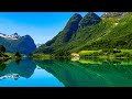 Beautiful Relaxing Music 🌿 Positive Energy, Study music,Meditation, Stress Relief Music #1