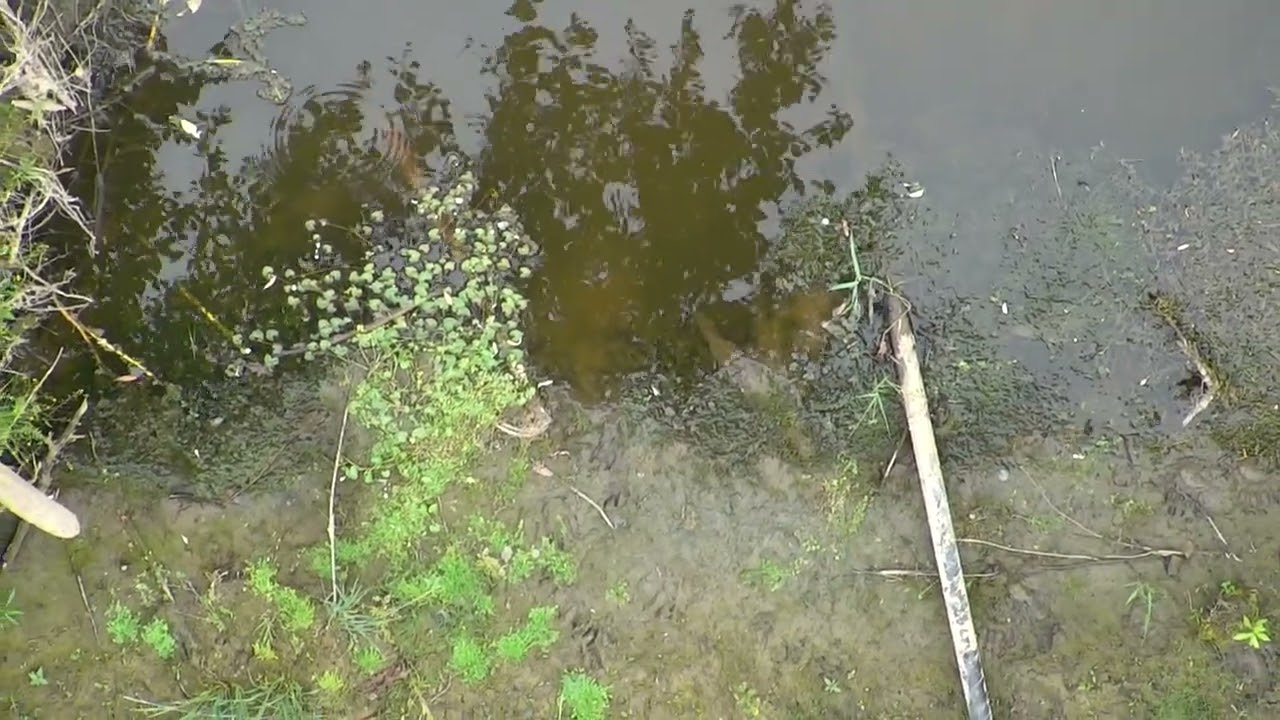 Exposed Pipeline at a creek crossing