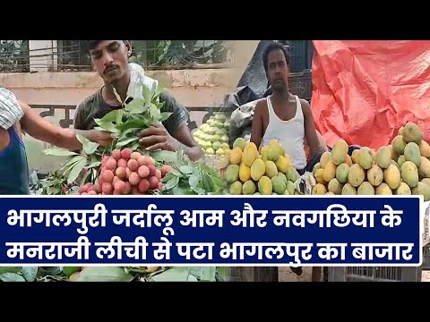 Bihar : भागलपुरी जर्दालू आम और नवगछिया के मनराजी लीची से पटा भागलपुर का बाजार 1 भागलपुरी जर्दालू आम और नवगछिया के मनराजी लीची से पटा भागलपुर का बाजार