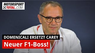 Famous Domenicali löst Carey ab: Neuer Boss für die F1! Wealth