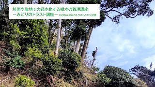 斜面や崖地で大径木化する樹木の管理講座～みどりのトラスト講座３～