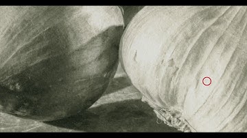 Making a Digital Negative - A Shocking Experience