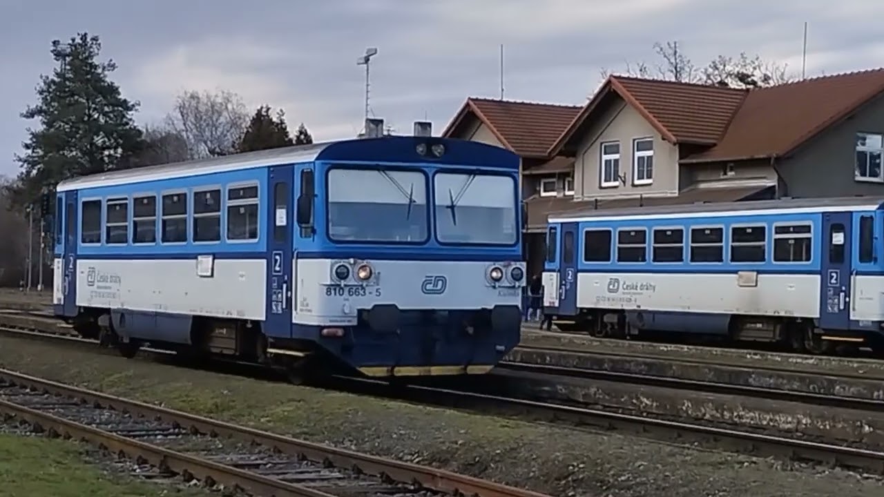 Jedna Kačenka za druhou 🦆🦆🦆🦆