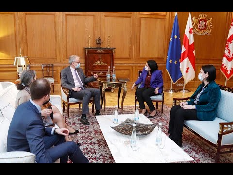 კრისტიან დანიელსონი პრეზიდენტს შეხვდა