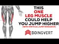 This ONE Muscle in your Leg Could Help you Dunk (MUST WATCH)