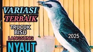 Download Lagu Pancingan PANAS Suara TERBAIK ‼️ PALING D SUKAI LAWAN BIAR CEPAT NYAUT GACOR NGROPEL SEKETIKA ‼️ MP3